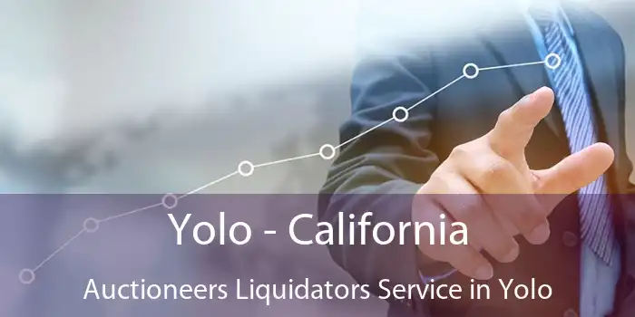 Yolo - California Auctioneers Liquidators Service in Yolo