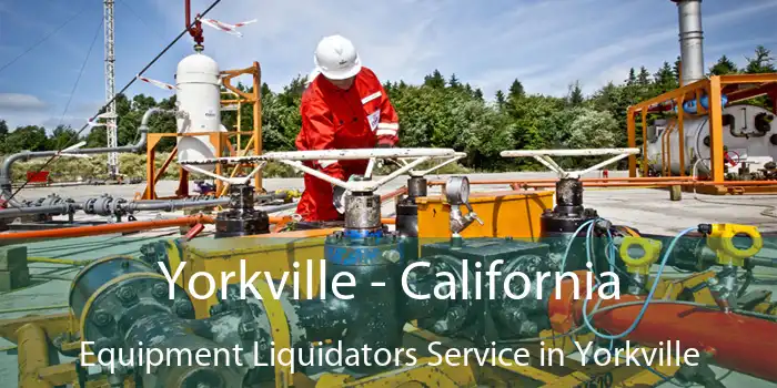 Yorkville - California Equipment Liquidators Service in Yorkville